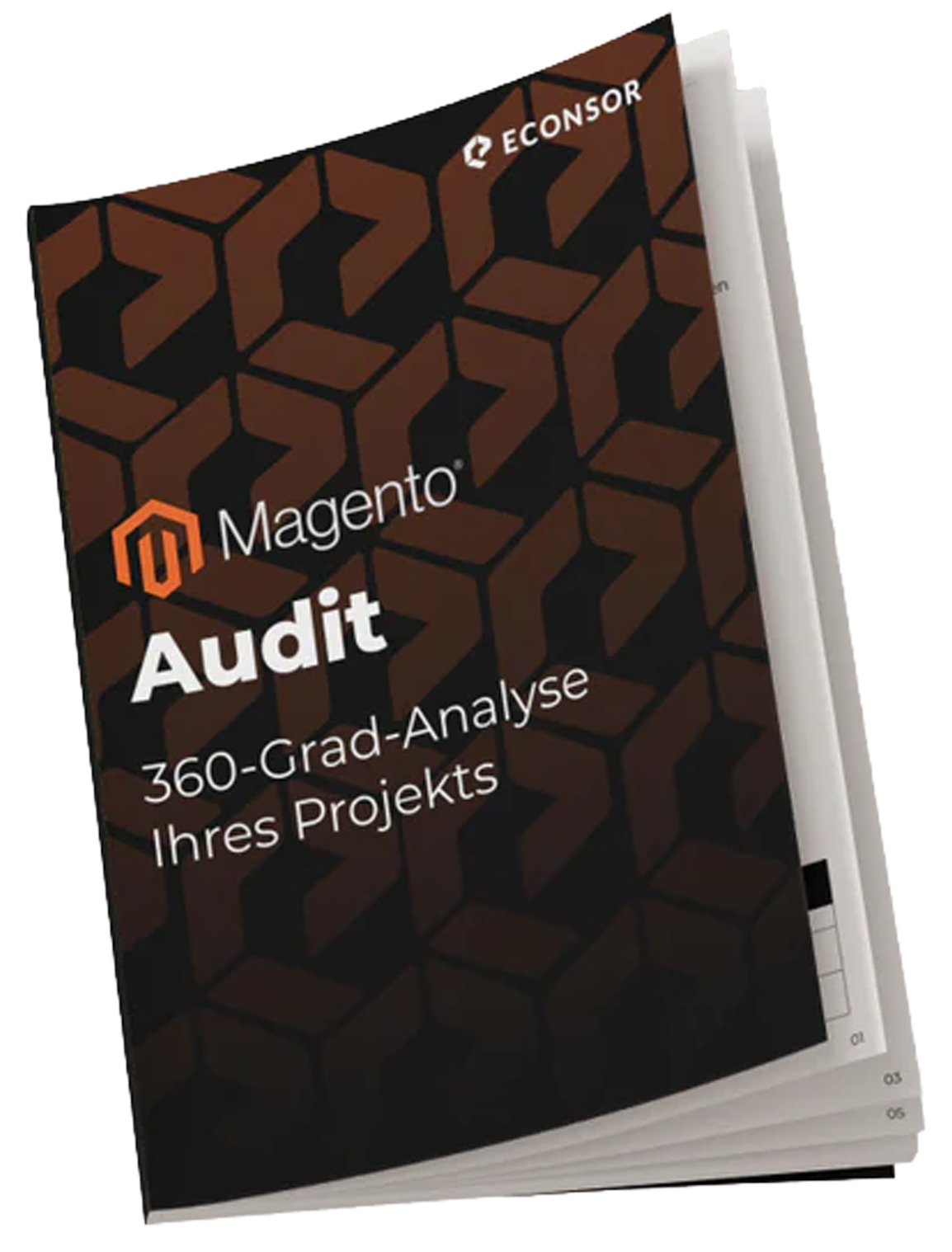Product Audit Magento