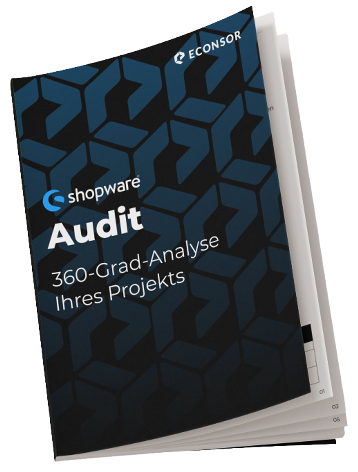 Product Audit Shopware